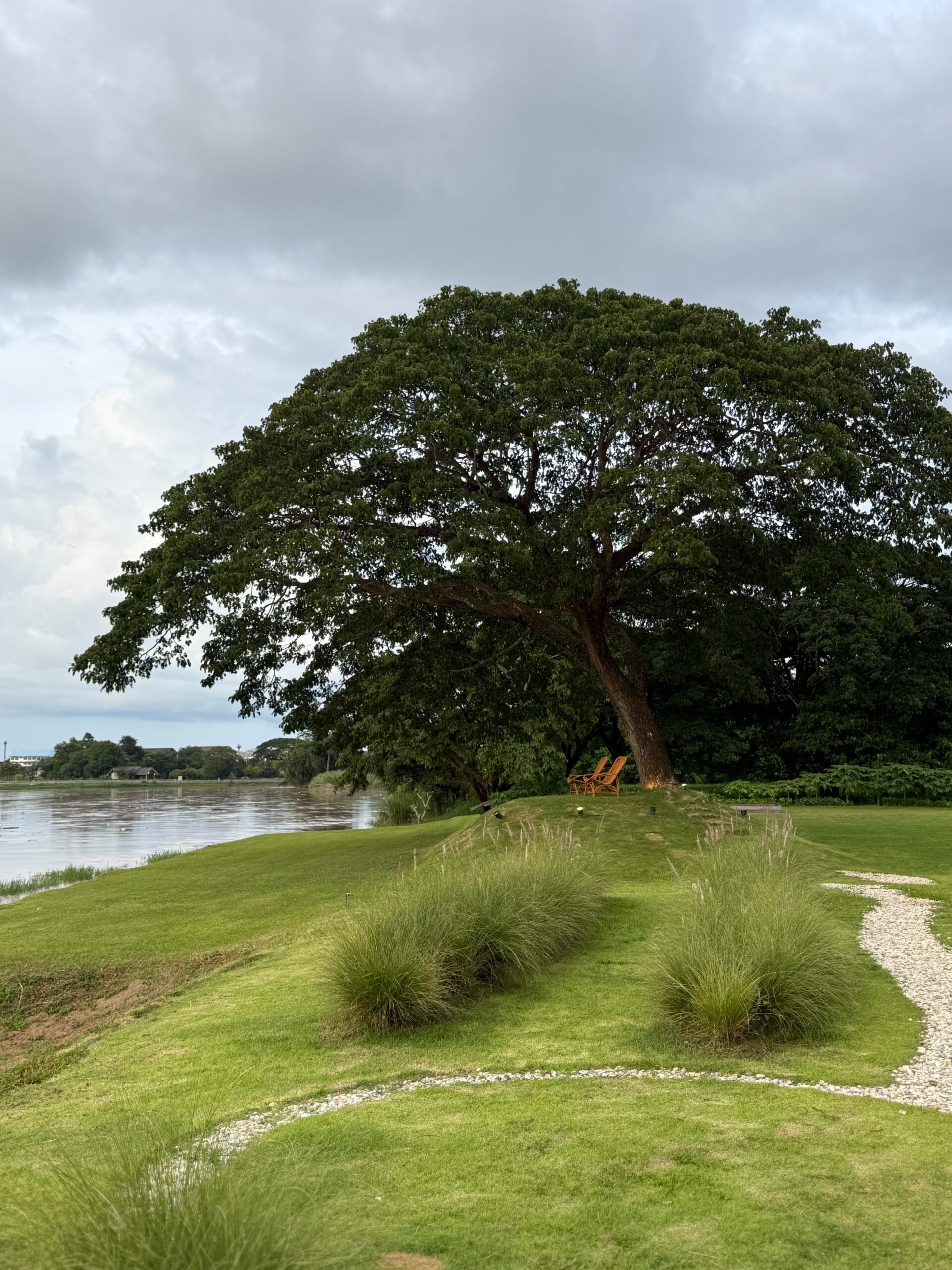 Le Méridien Chiang Rai Resort scenery