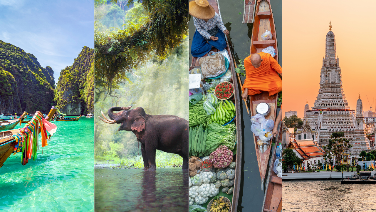 Pictured (L-R): Phi Phi Island, Wild elephant in the Kanchanaburi forest, Damnoen Saduak Floating Market in Ratchaburi District, Wat Arun temple in Bangkok