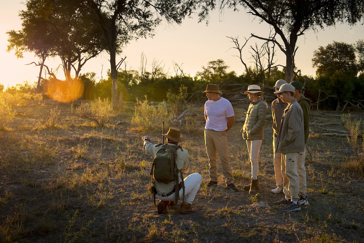 Photo courtesy of Atzaró Okavango Camp