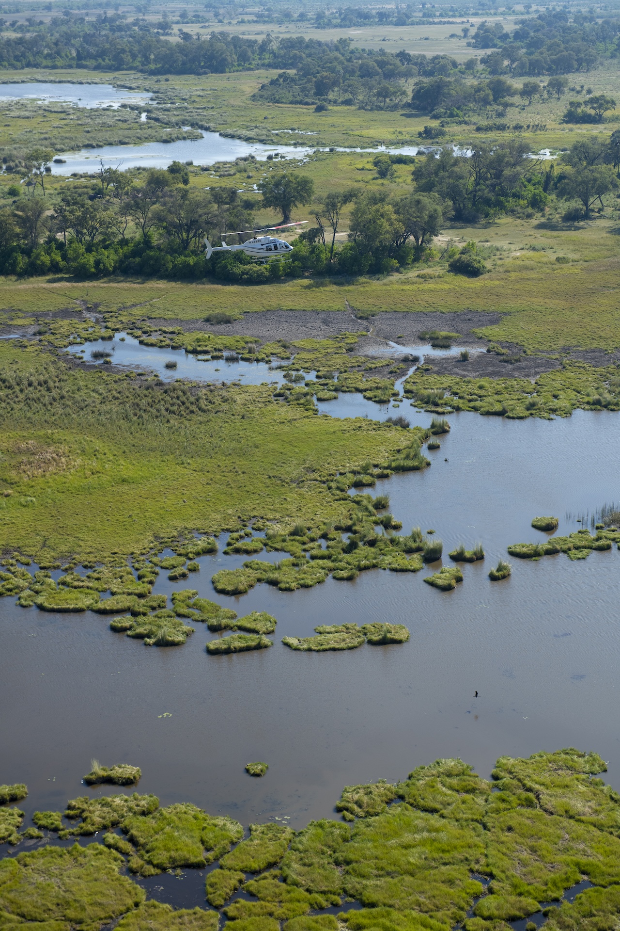Atzaró Okavango Camp
