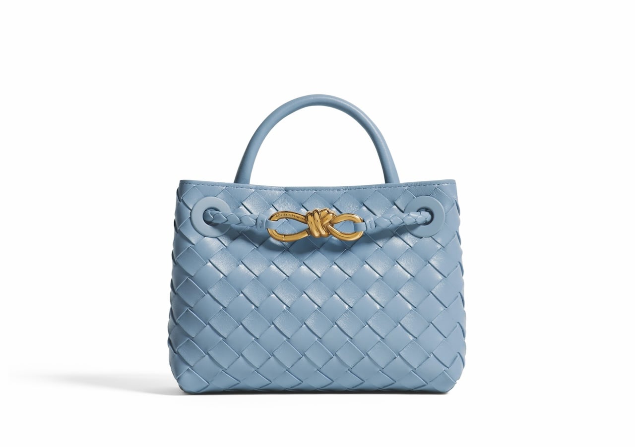 Bottega Veneta mini andiamo