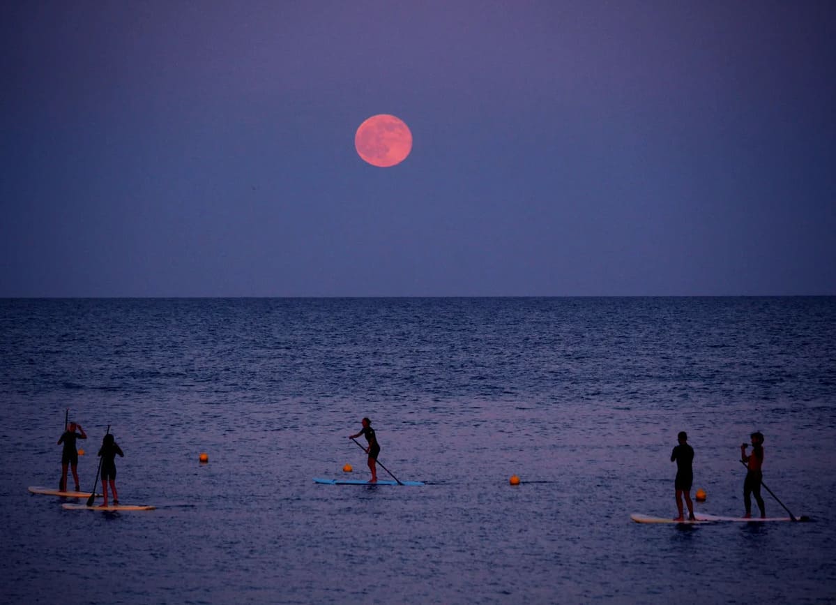 full Strawberry Moon
