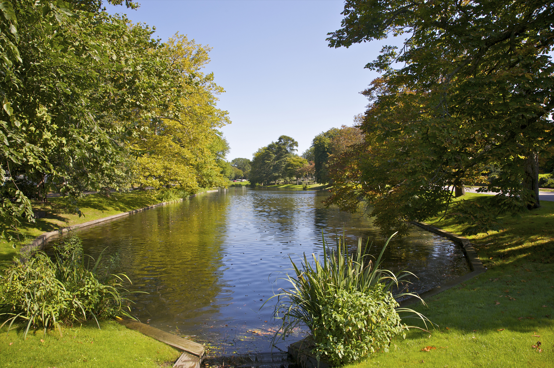 Pond surrounded by trees.