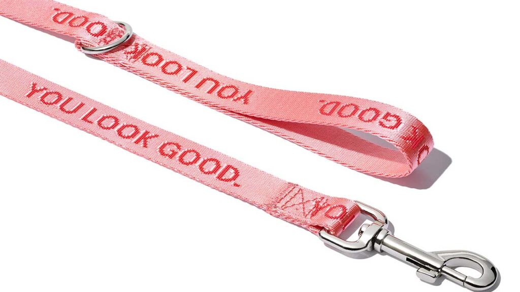 Glossier Dog Leash; $20. SHOP NOW.