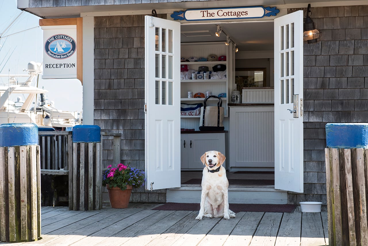 Woof Cottages