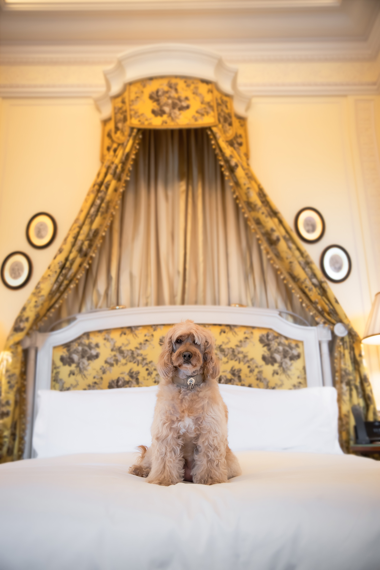 The Lanesborough