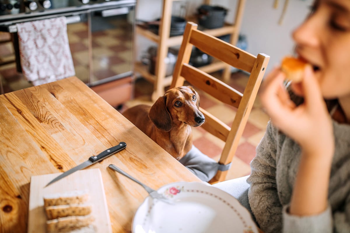 iStock-1222252387