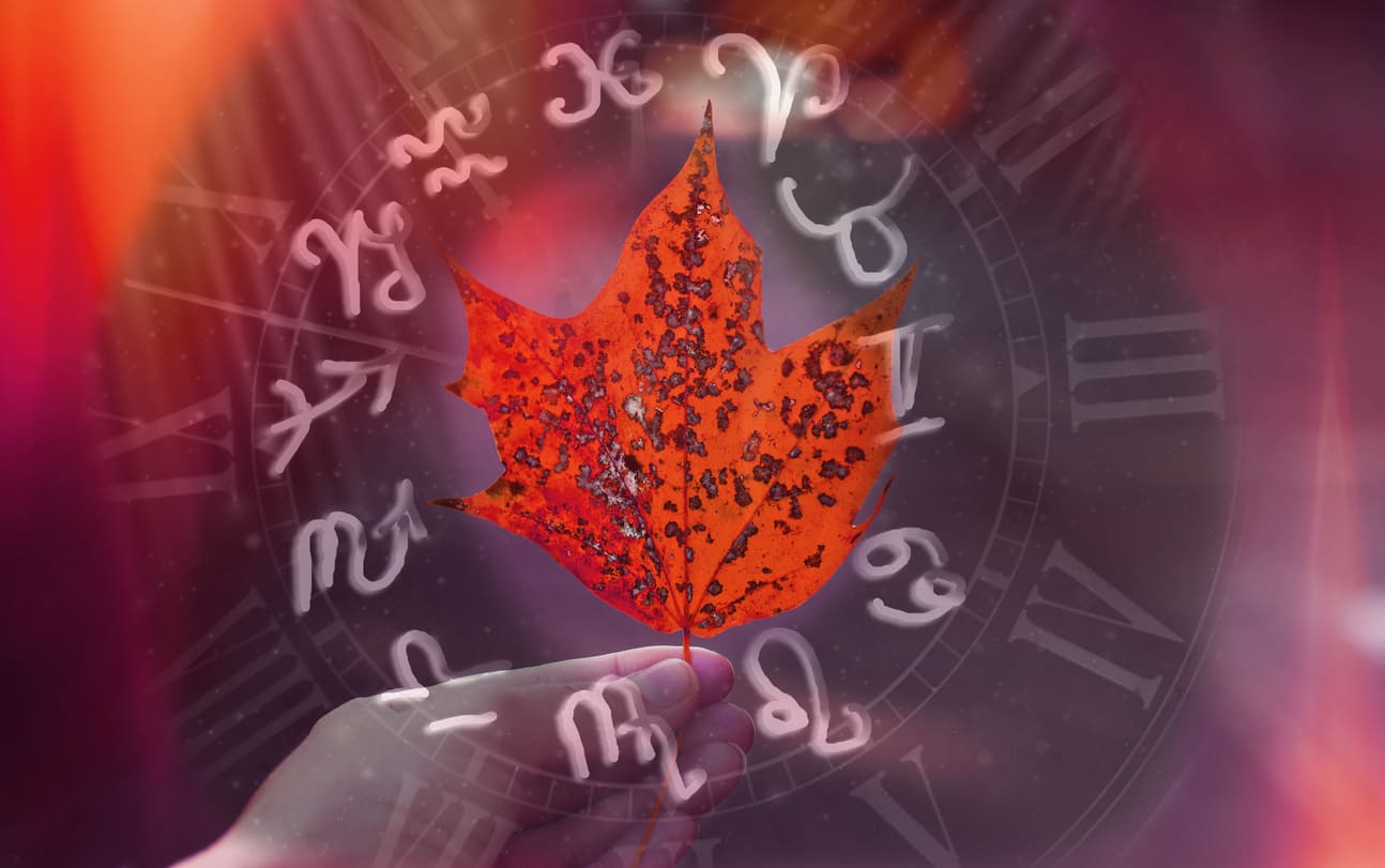 Fall 2026 Is One of the Most Intense in Years 