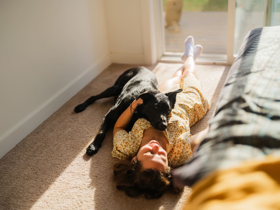 Your Dog's Sigh Next to You Is a Powerful Emotional Signal Most Owners Misunderstand