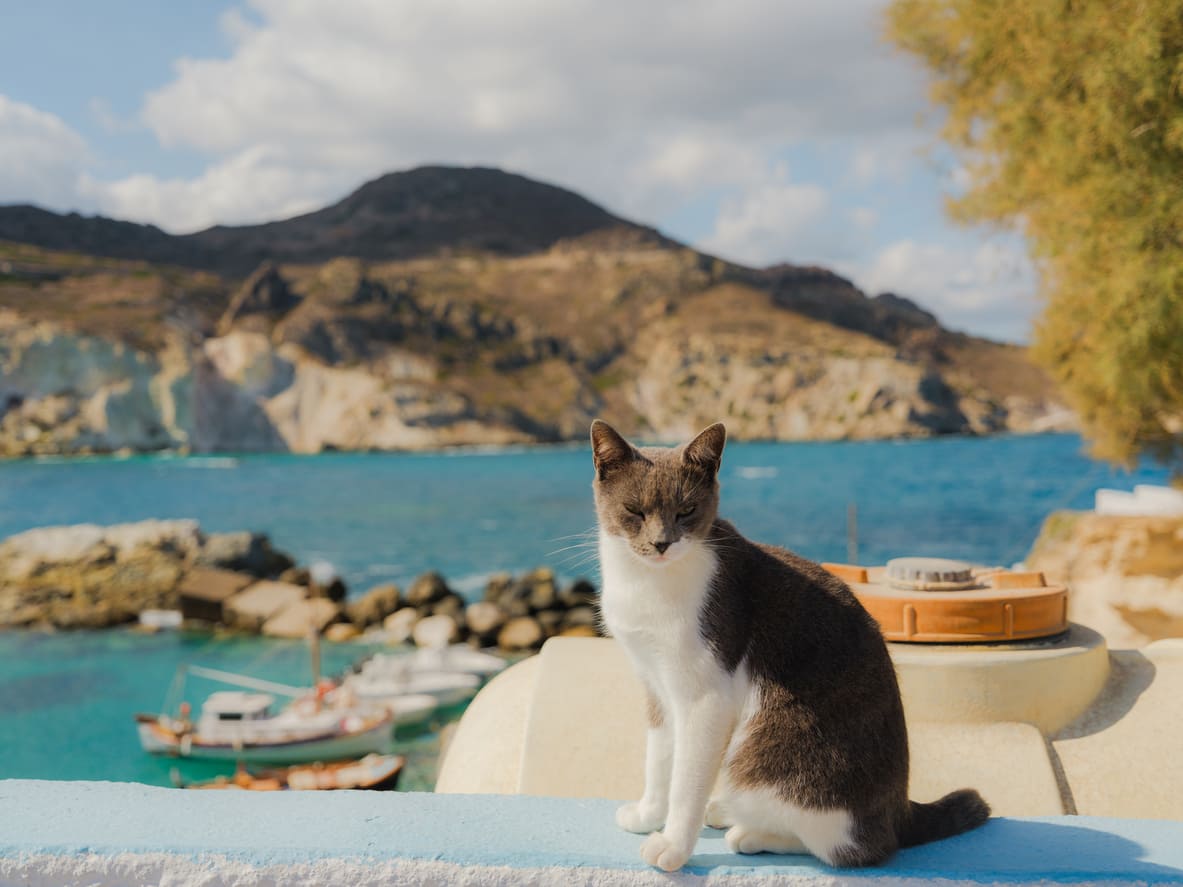 This Cycladic Island Nobody Knows About Is Looking for Volunteers to Live