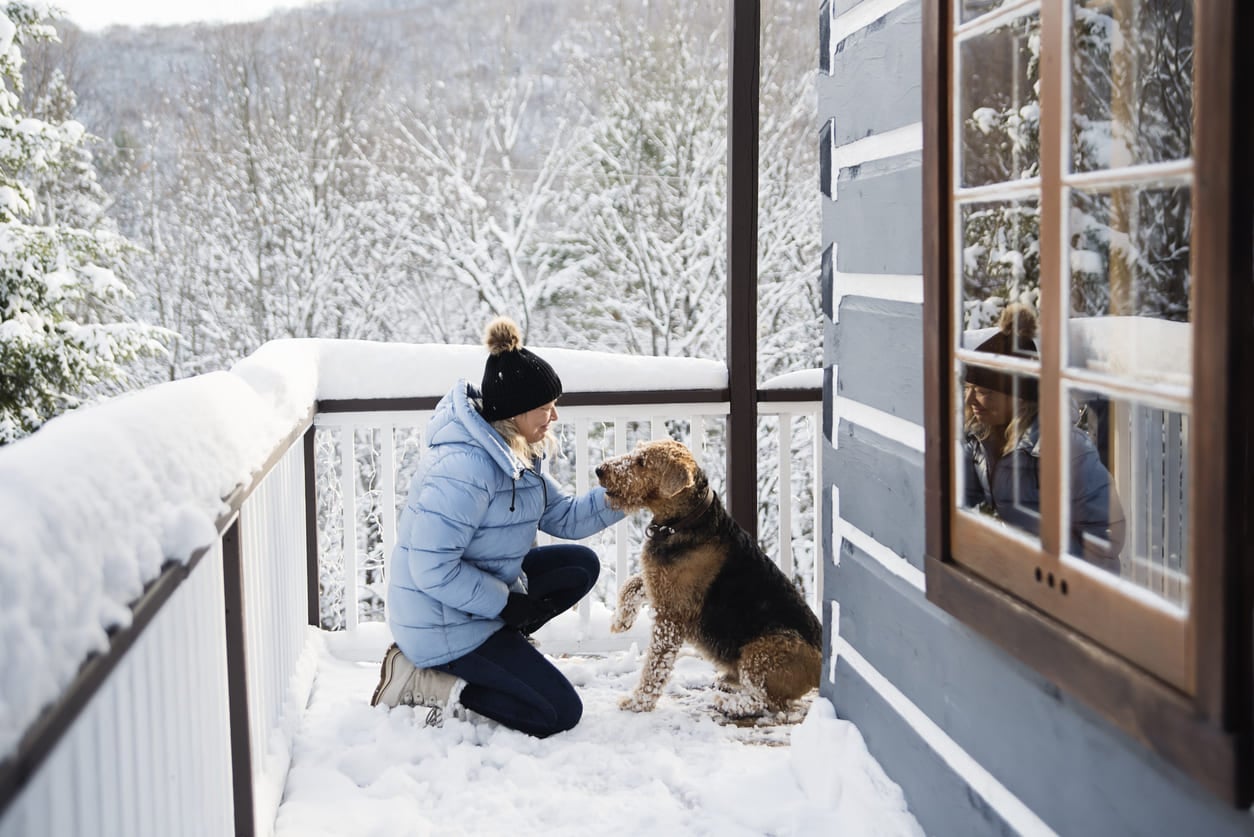 Below This Temperature, Your Dog Should Barely Go Outside at All