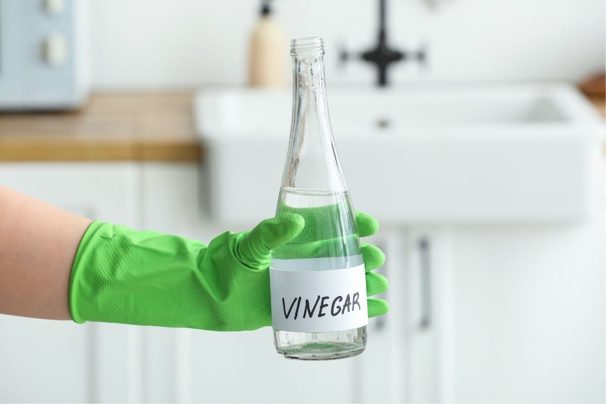 White Vinegar