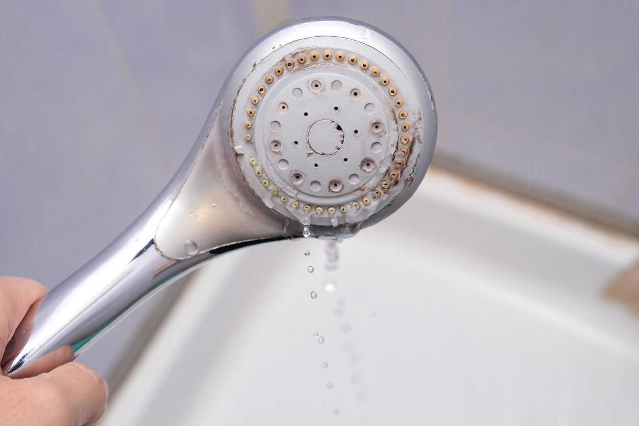 This Ingredient You Won't Find in Your Kitchen Cleans Your Showerhead 10 Times Better Without Scrubbing