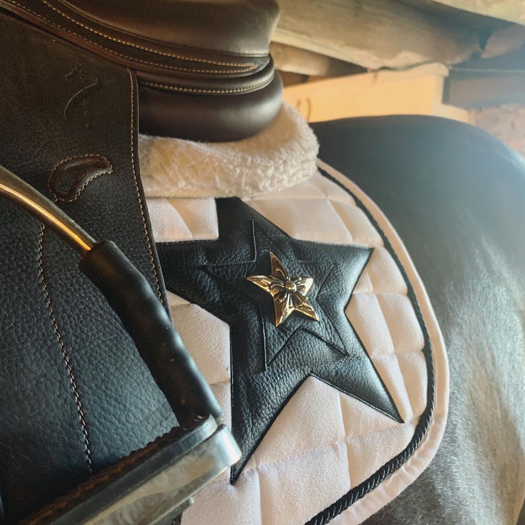 Bella Hadid's Horse Is Chic Grazia