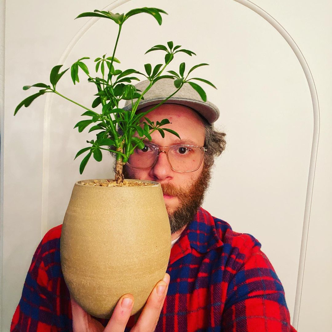 seth rogan vase