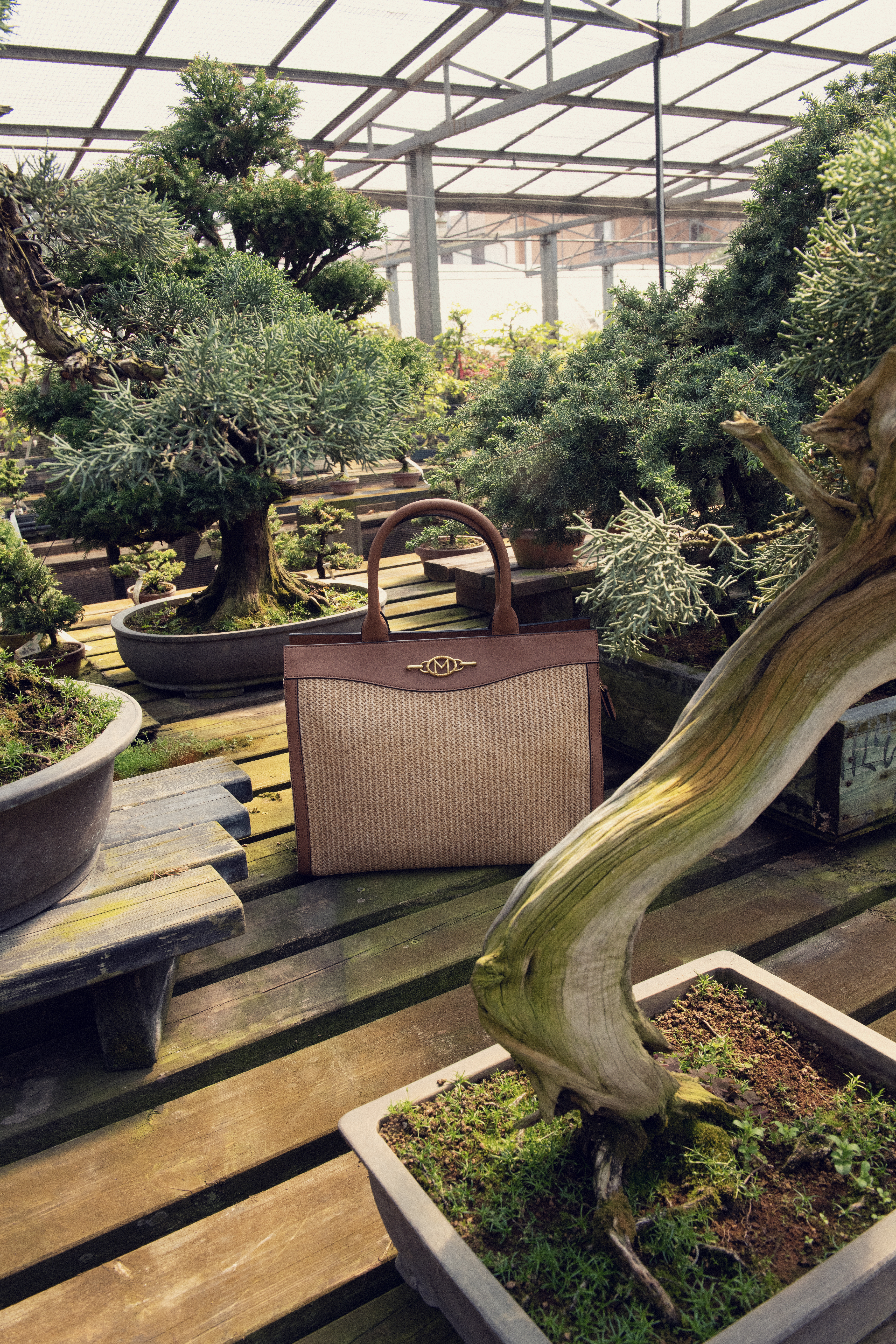 Inside Italy's Crespi Bonsai Museum, Home To Over 200 Bonsais