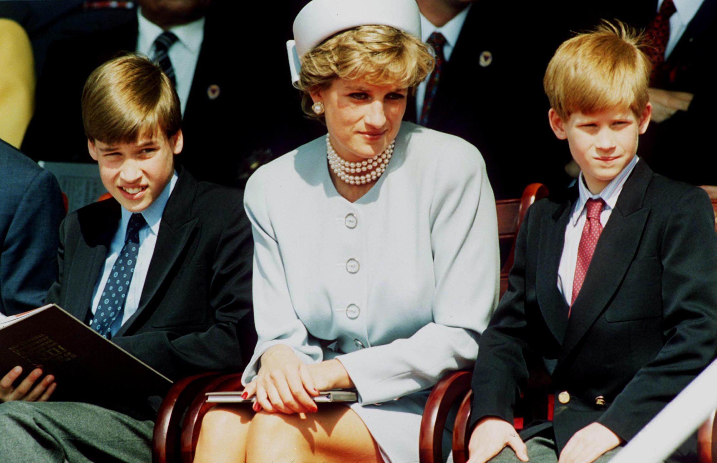 Prince Wiliam Princess Diana