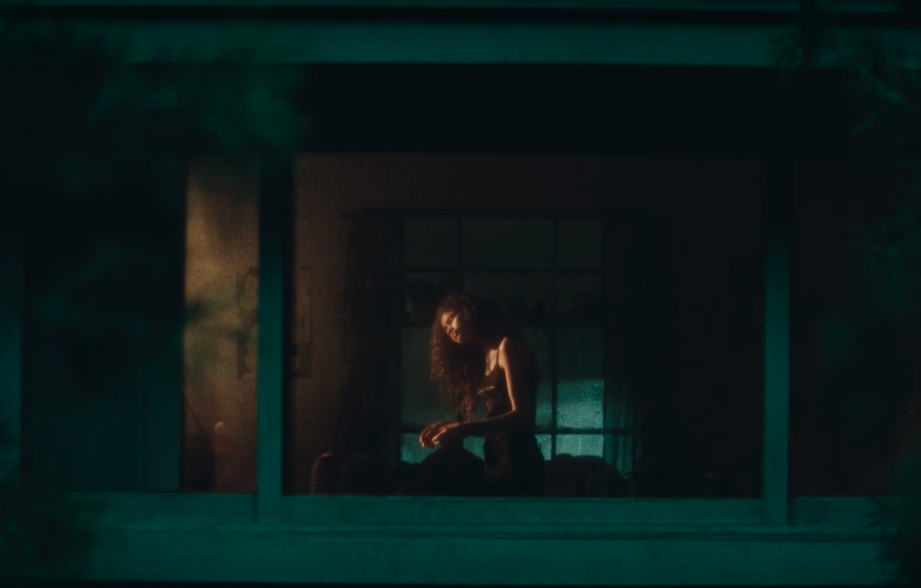 Does Rue Die In Euphoria? Analyzing The Narrator's Ultimate Fate