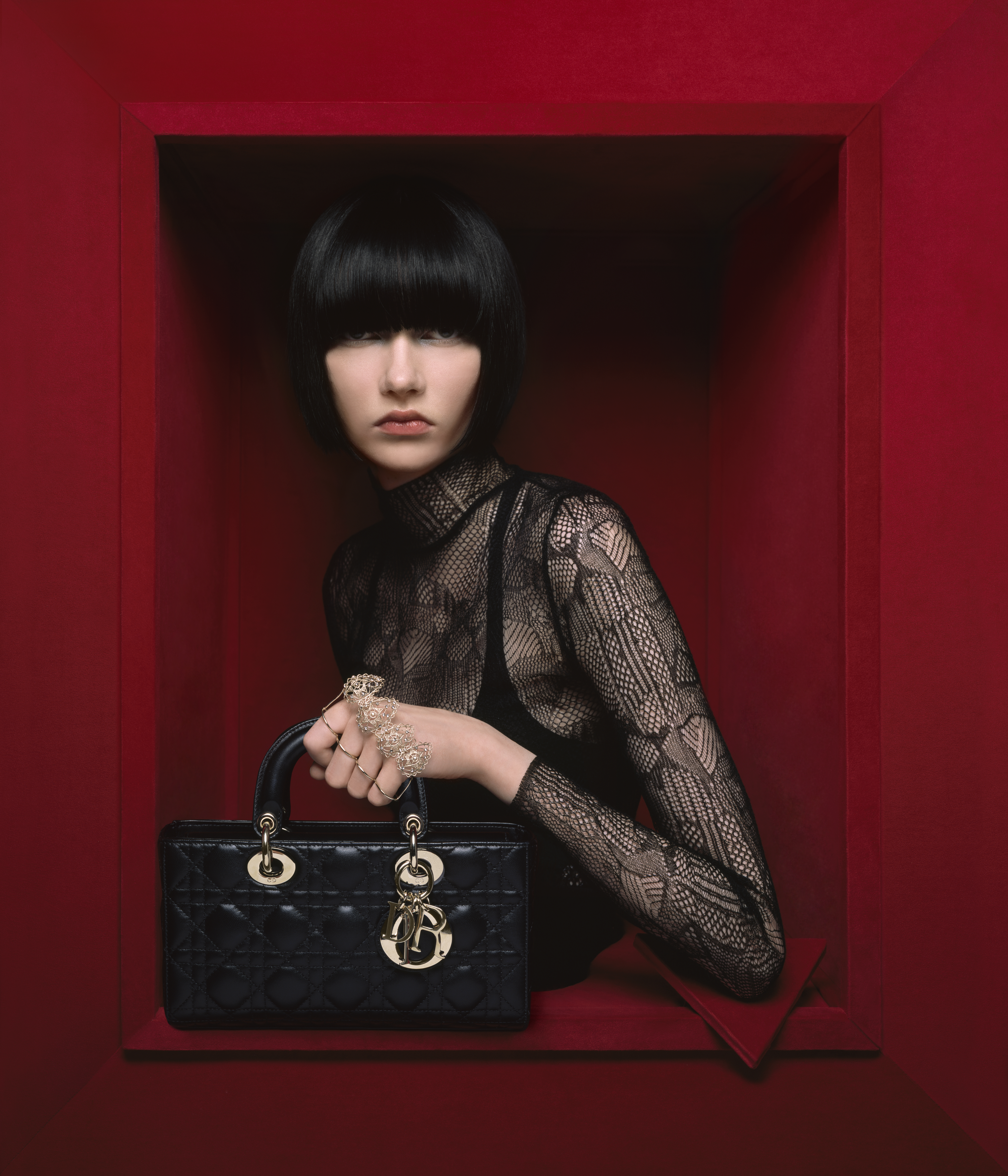History of a Classic: The Lady Dior - BagAddicts Anonymous