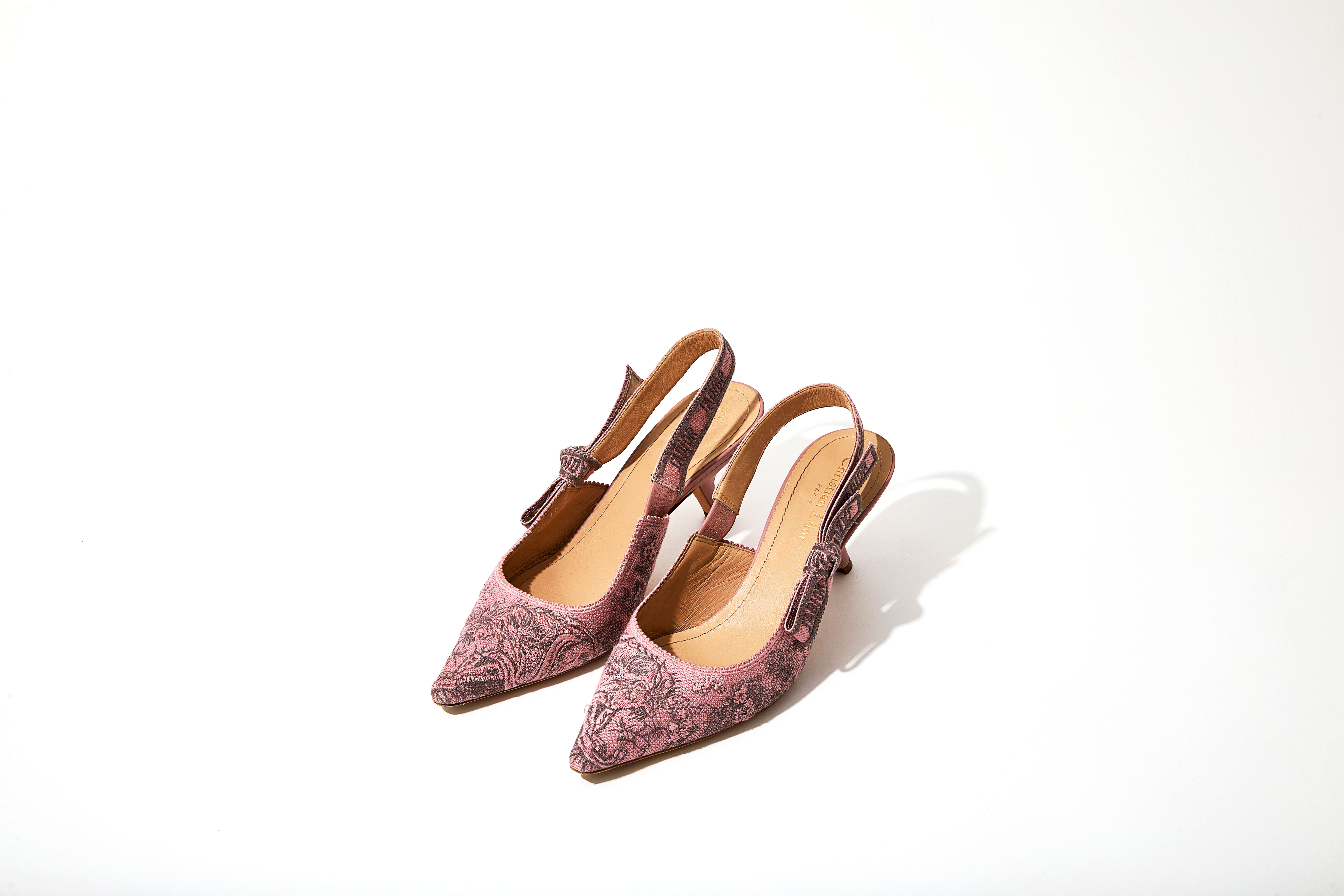 Jadior-Slingback-Pump-in-Pink-And-Gray-Embroidered-Cotton-with-Toile-De-Jouy-Sauvage-Motif-Dior