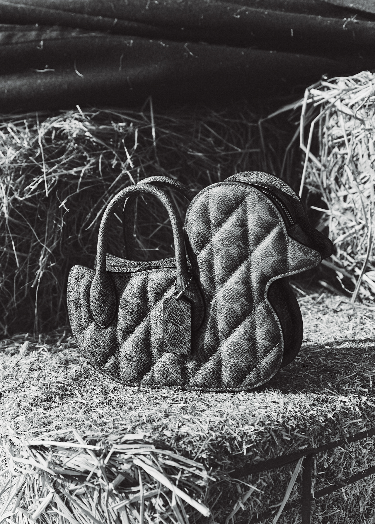 GZA_COACH_ABUDHABI_05_001 Grazia