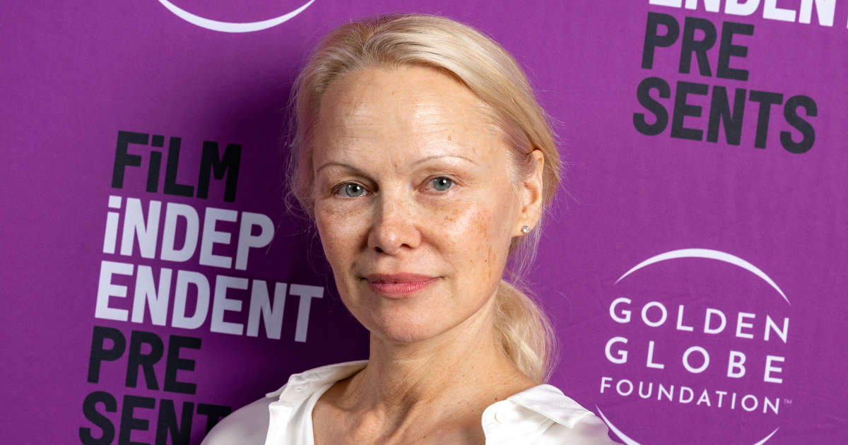 Pamela Anderson intelligence overview
