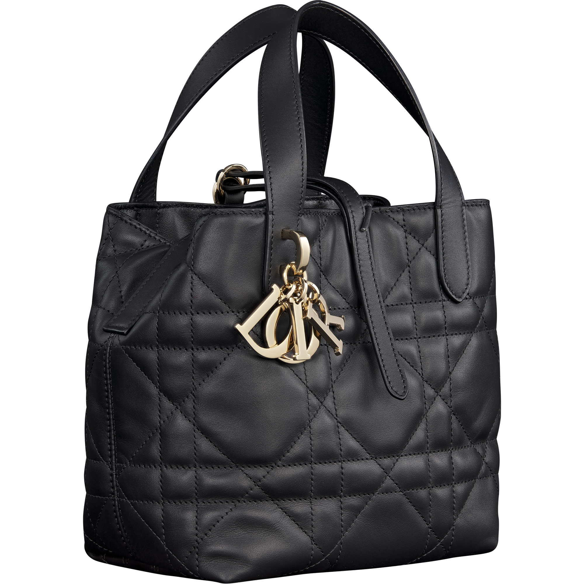 dior-bag