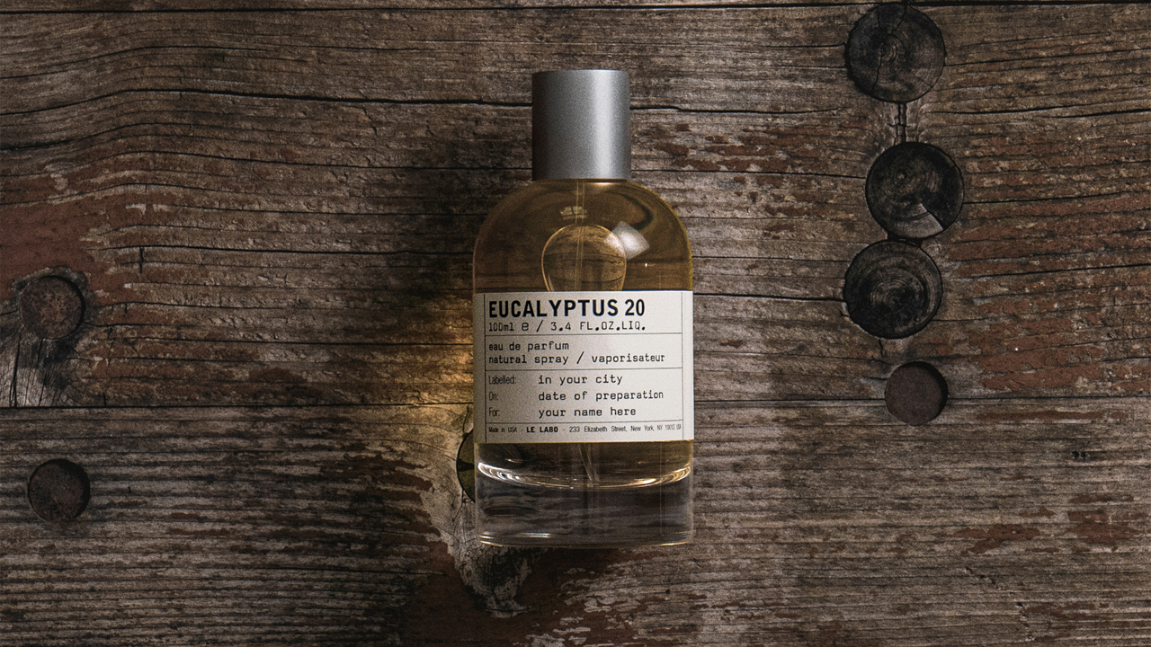 eucalyptus-20-editor-picks