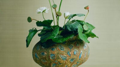 dior-livestream-fw26